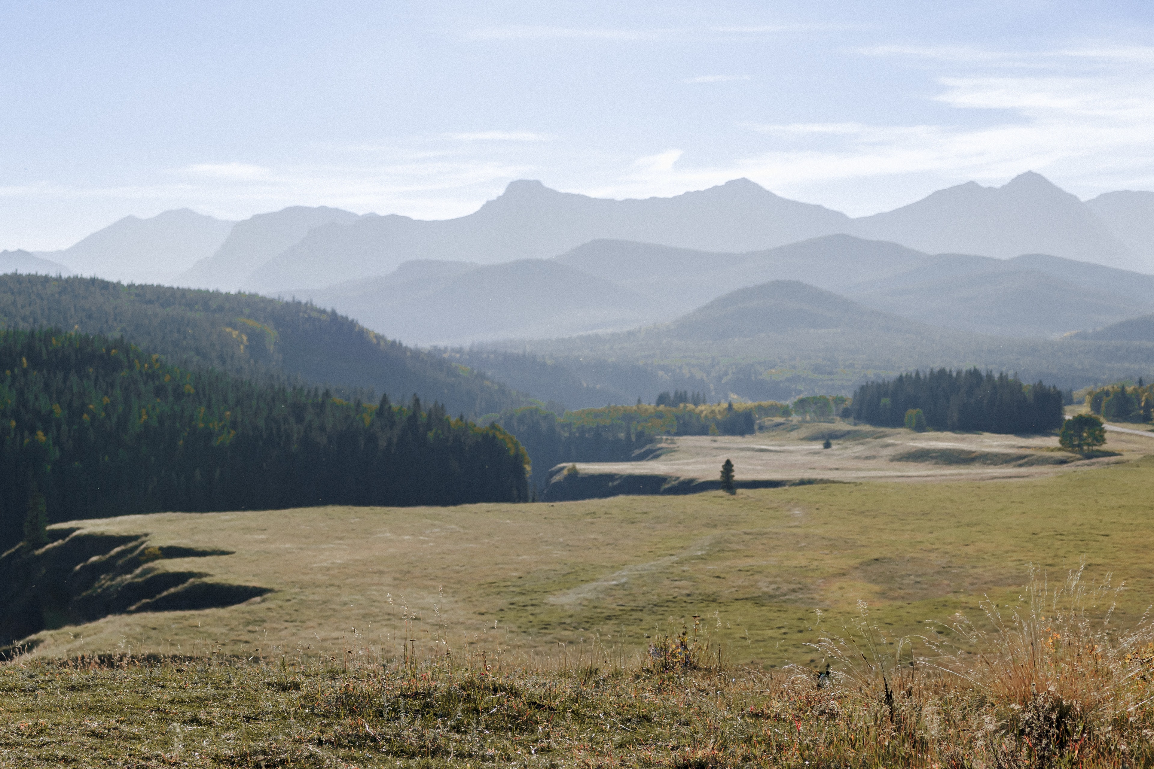 Mountain ranges above a forested valley and an open meadow. Photograph by Galyna Gaponiuk.